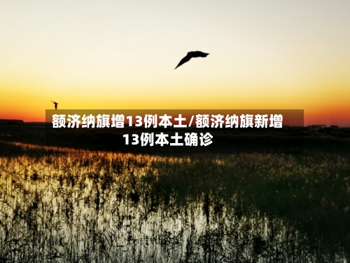 额济纳旗增13例本土/额济纳旗新增13例本土确诊-第2张图片
