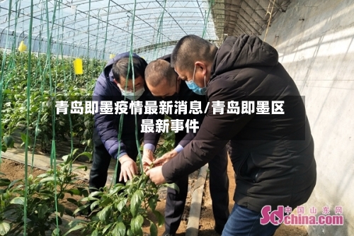 青岛即墨疫情最新消息/青岛即墨区最新事件