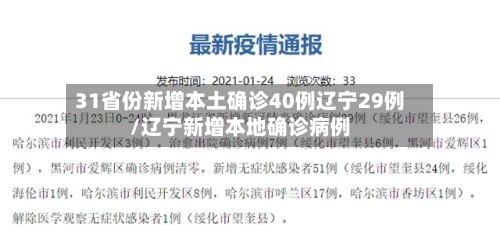31省份新增本土确诊40例辽宁29例/辽宁新增本地确诊病例