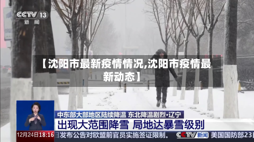 【沈阳市最新疫情情况,沈阳市疫情最新动态】