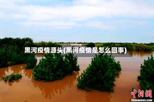 黑河疫情源头(黑河疫情是怎么回事)