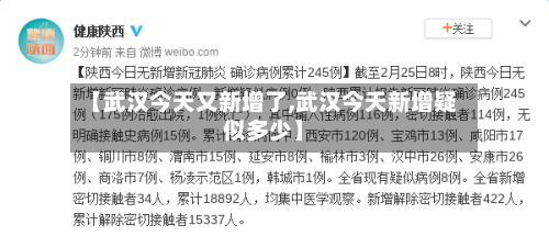 【武汉今天又新增了,武汉今天新增疑似多少】