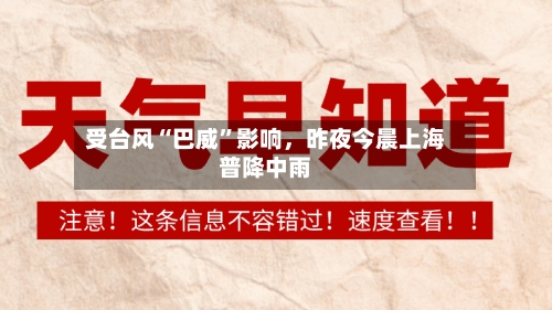 受台风“巴威	”影响，昨夜今晨上海普降中雨-第2张图片