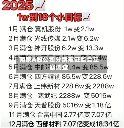 两家A股公司分别被证监会立案调查