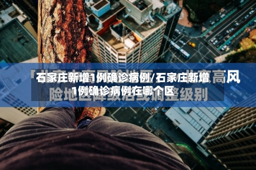 石家庄新增1例确诊病例/石家庄新增1例确诊病例在哪个区-第3张图片
