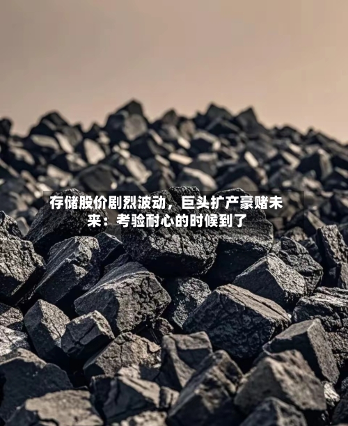 存储股价剧烈波动，巨头扩产豪赌未来：考验耐心的时候到了-第2张图片