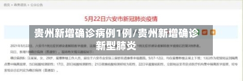 贵州新增确诊病例1例/贵州新增确诊新型肺炎-第2张图片