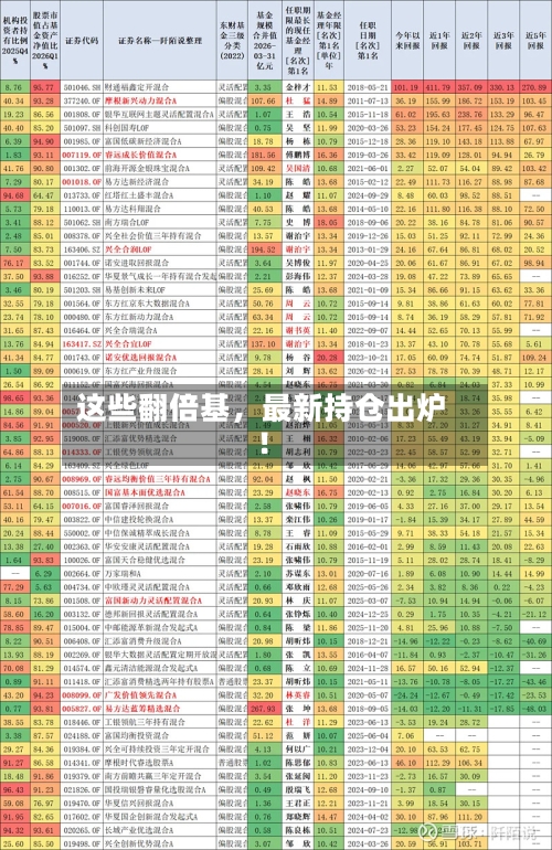 这些翻倍基，最新持仓出炉！-第2张图片