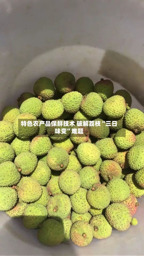 特色农产品保鲜技术 破解荔枝“三日味变”难题-第3张图片