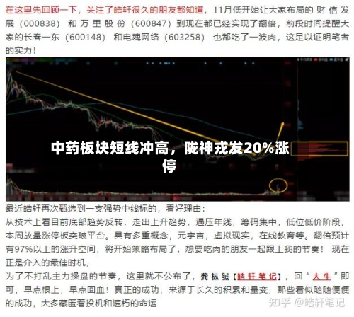 中药板块短线冲高	，陇神戎发20%涨停-第2张图片