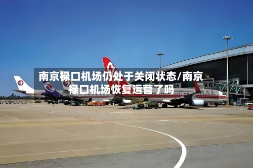 南京禄口机场仍处于关闭状态/南京禄口机场恢复运营了吗