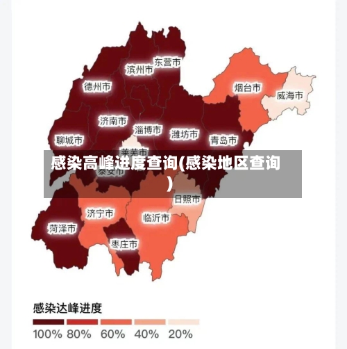 感染高峰进度查询(感染地区查询)-第2张图片