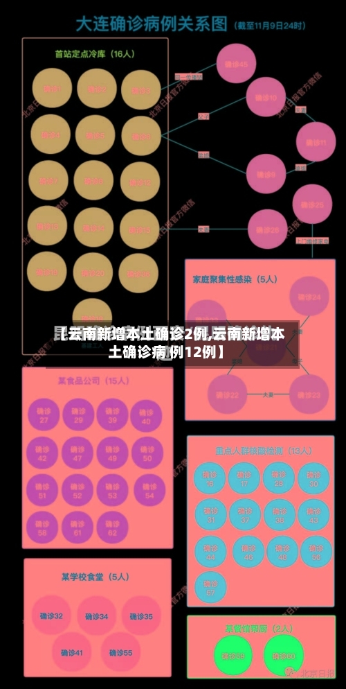 【云南新增本土确诊2例,云南新增本土确诊病 例12例】-第3张图片