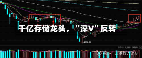 千亿存储龙头	，“深V”反转-第3张图片