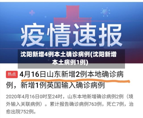 沈阳新增4例本土确诊病例(沈阳新增本土病例1例)-第2张图片