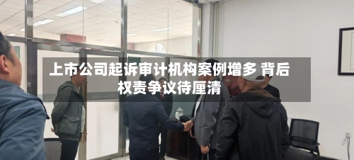 上市公司起诉审计机构案例增多 背后权责争议待厘清-第2张图片