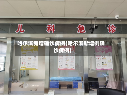 哈尔滨新增确诊病例(哈尔滨新增例确诊病例)-第3张图片