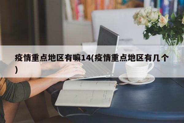 疫情重点地区有嘛14(疫情重点地区有几个)